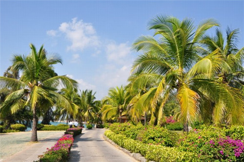 宏昌洗衣连锁店