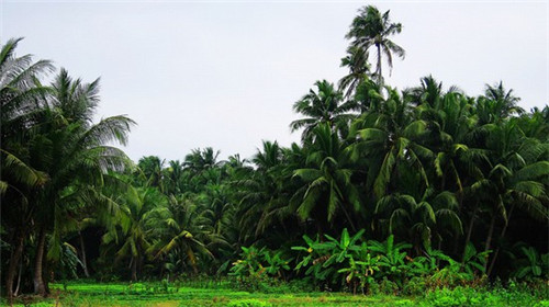 阜新市防毒面具加盟投资创业什么品牌还能做