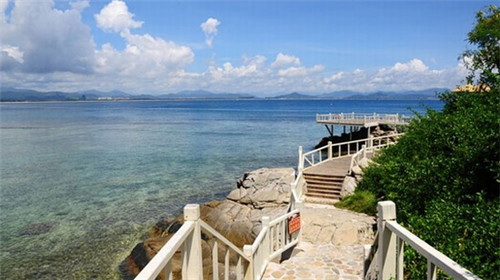 2025钢化膜品牌加盟哪家比较好