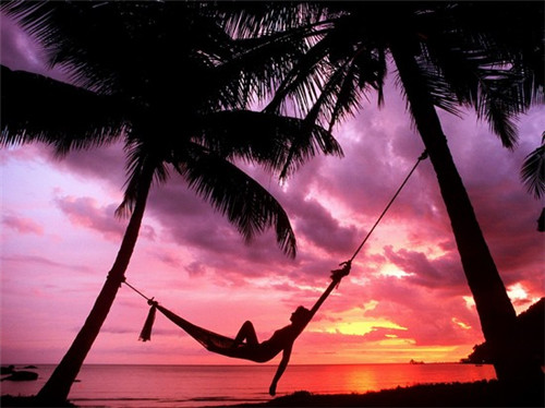 白菜炒木耳怎么炒法（白菜炒木耳的做法大全家常）