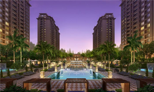 永远的玫瑰小说（永远的玫瑰小说百度云）