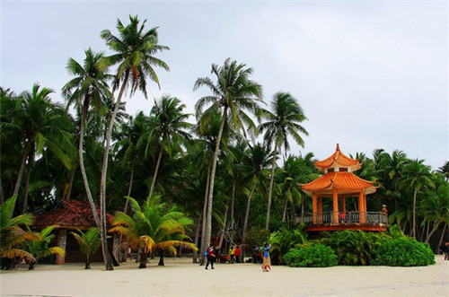 雪菜炒竹笋好吃不好吃（雪菜炒笋的做法）