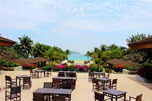 千岁鹤归一般指什么（千岁鹤归典故）