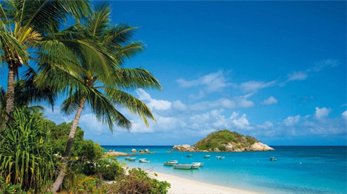 魔力魔力转圈圈是什么歌（魔力转圈圈歌曲在线听）